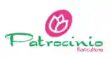 patrocinio.com.br