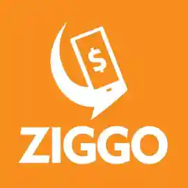 ziggoshop.com.br